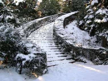 Verschneite Treppe im Nordischen Garten - Winter im Park