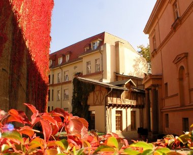 Stadtpalais- Hofdetail Herbst
