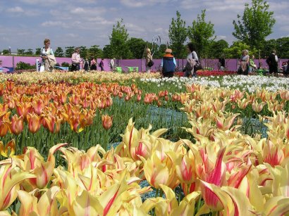 Gartenzimmer im Schlossgarten