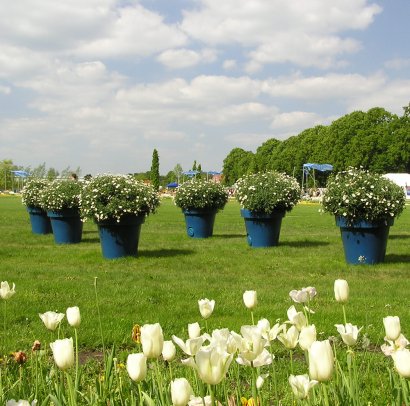 Landesgartenschau Oranienburg im alten Schlosspark