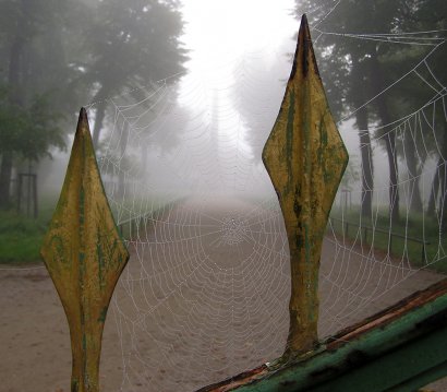 Spinnweben am Parktor