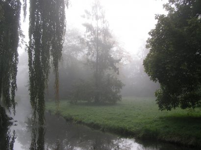 Nebel im Park Sanssouci