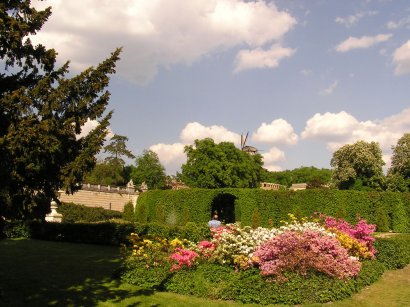 Sommer im Sizilianischen Garten