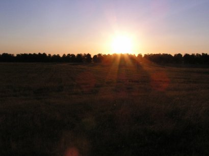 Sonnenuntergang Potsdam Lennesche Feldflur